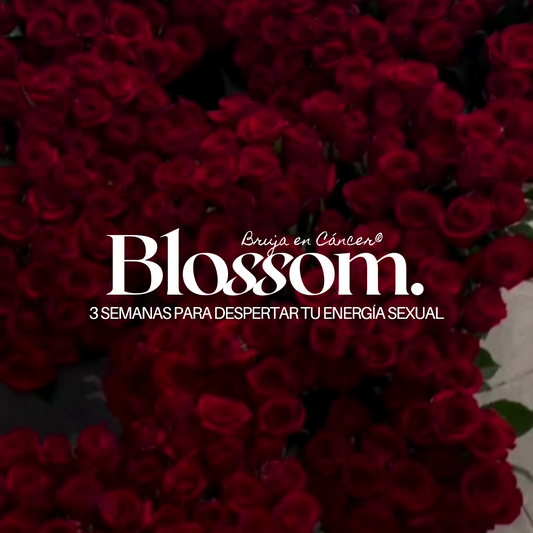 Blossom - SÉ LA SENSUALIDAD