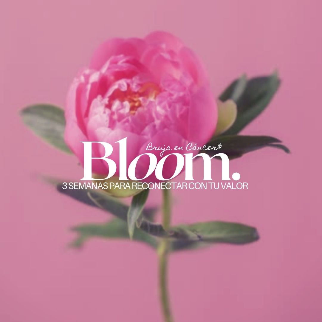 Bloom - RECONECTA CON TU VALOR